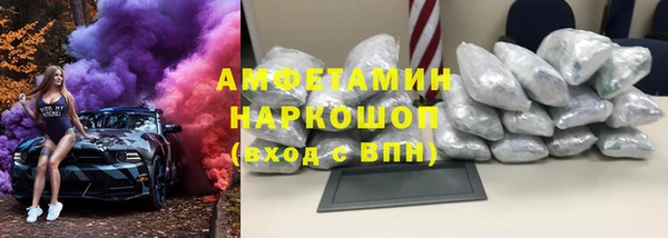 твердый Ельня