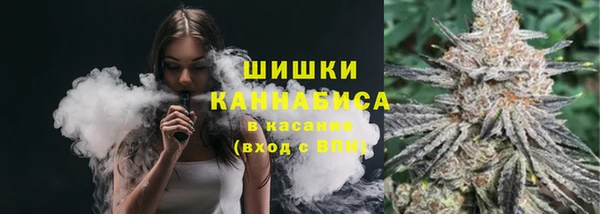 прущие грибы Пролетарск