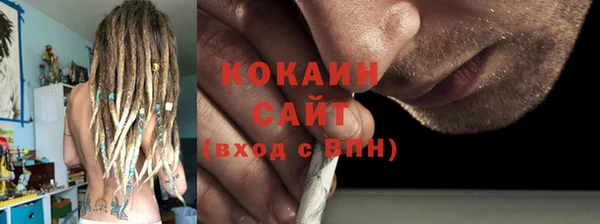 молекула духа Богданович