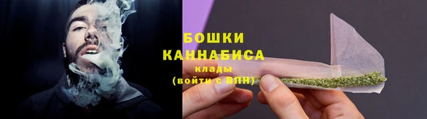 молекула духа Приозерск