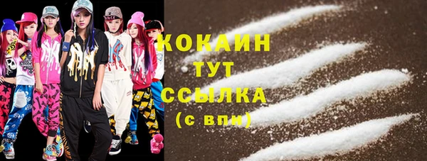 молекула духа Приозерск
