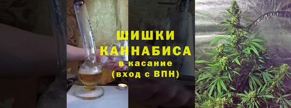 прущие грибы Пролетарск