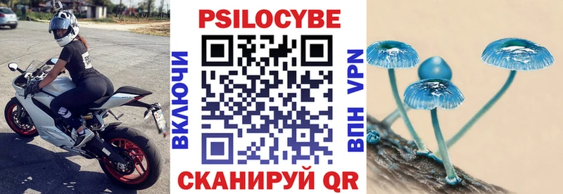 Псилоцибиновые грибы мицелий Пучеж
